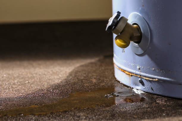 Sewage cleanup and water damage restoration in Cetronia, PA