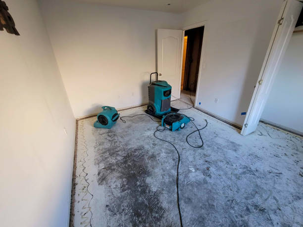 Best Sewage cleanup and water damage restoration  in Cetronia, PA