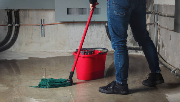 Best Water damage restoration experts  in Cetronia, PA
