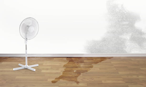 Best Mold removal after water damage  in Cetronia, PA