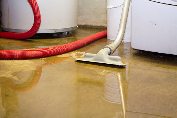 Best 24/7 water damage repair  in Cetronia, PA