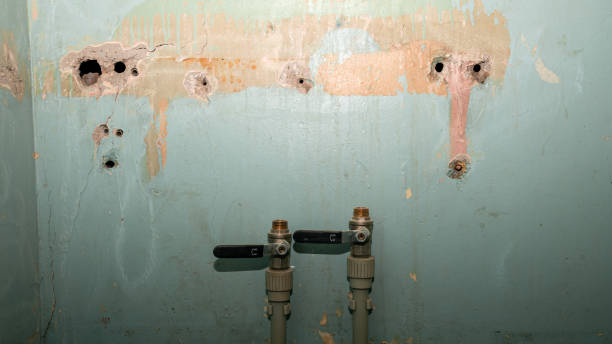 Best Professional water damage repair  in Cetronia, PA